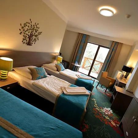 Hotel Europa - Górnicza Strzecha 3*