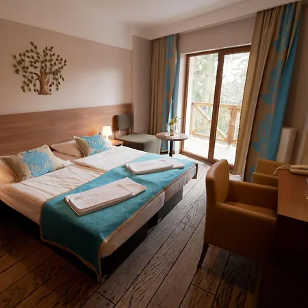 Europa - Górnicza Strzecha 3*