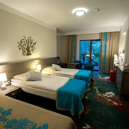 Europa - Gornicza Strzecha Otel 3*