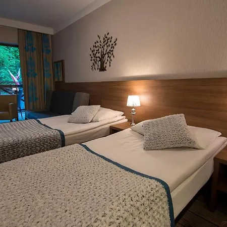 Europa - Gornicza Strzecha 3*