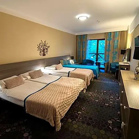 Hotel Europa - Górnicza Strzecha