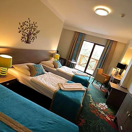 Hotel Europa - Gornicza Strzecha