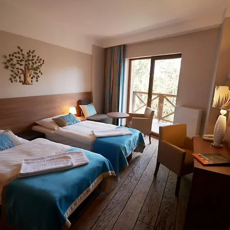 Europa - Gornicza Strzecha Szklarska Poręba