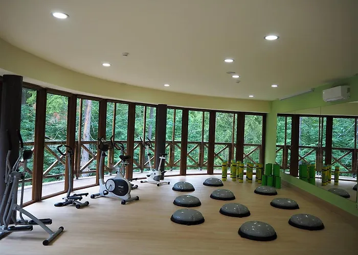 酒店 Europa - Gornicza Strzecha 3*